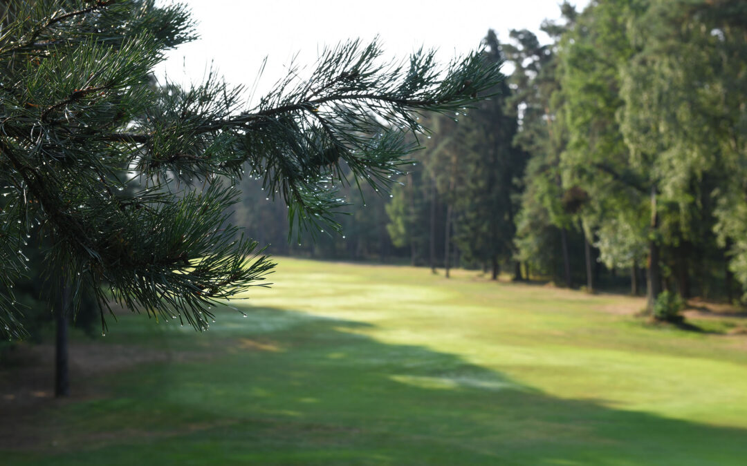 Golf Club am Reichswald Nürnberg